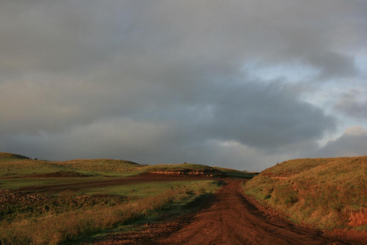 Serengeti -12-6-10-2008-657 w 